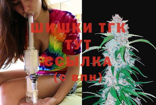 индика Липки