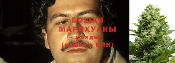 твердый Дмитриев