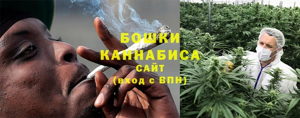 ПСИЛОЦИБИНОВЫЕ ГРИБЫ Магас