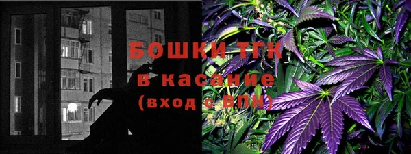 крисы Ельня