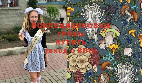 ПСИЛОЦИБИНОВЫЕ ГРИБЫ Магас