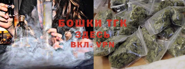 прущие грибы Майский
