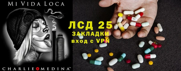 ПСИЛОЦИБИНОВЫЕ ГРИБЫ Магас