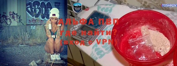 ПСИЛОЦИБИНОВЫЕ ГРИБЫ Магас