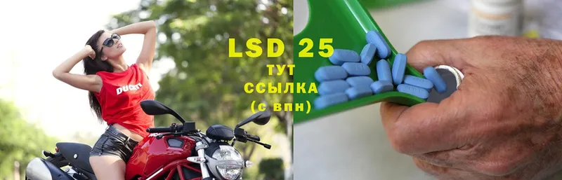 как найти   Ельня  LSD-25 экстази кислота 