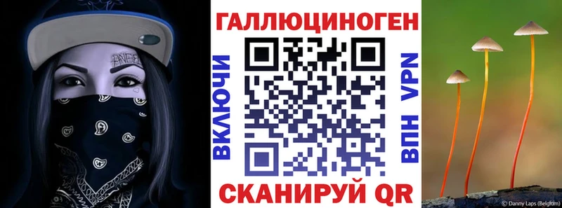 Галлюциногенные грибы Psilocybe дарк нет формула Ельня